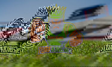 TurfKing.net